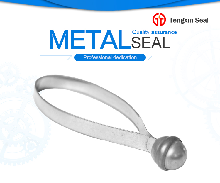 Meter strap seal show