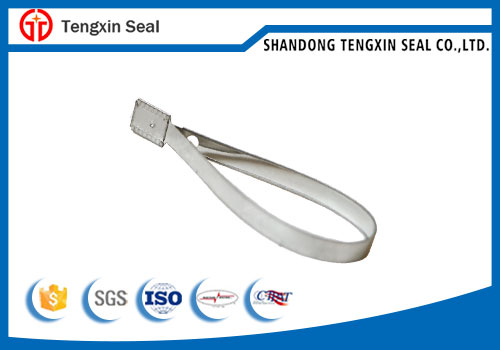 TX-SS101 metal strap seal container door lock