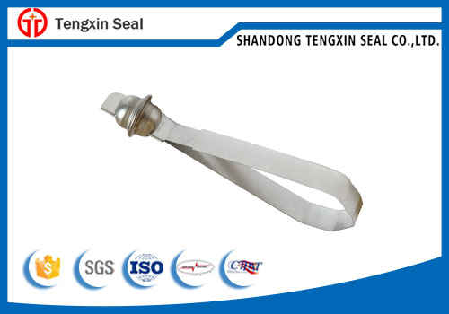 TX-SS104 Steel Strap Seal for trucks