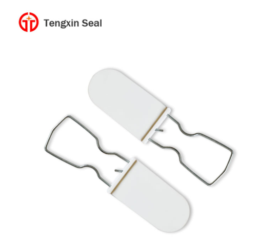 padlock seal 