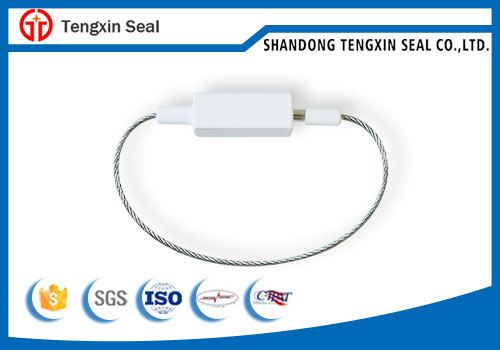 Chinese Aluminum Alloy Cable Seal Lock with Competitive Price