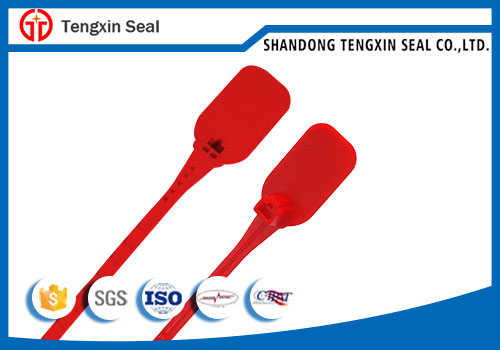 China manufacturer fire extinguish plastic seal lock