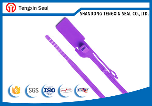 Tamper evident numbered plastic strap seal